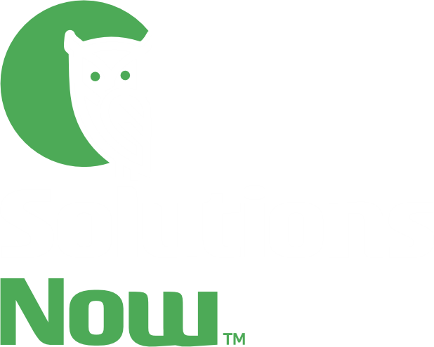 Solutions Now Owl Icon